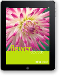 Flower Abstracts cover image