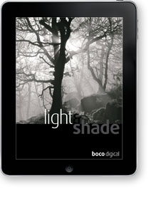Light & Shade cover image
