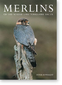Merlins cover image